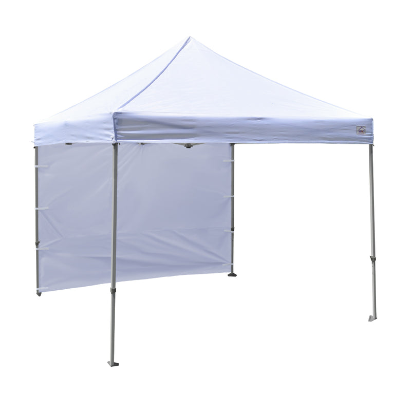 10x10 Canopy