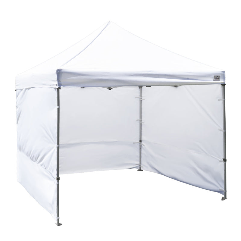 10x10 Canopy