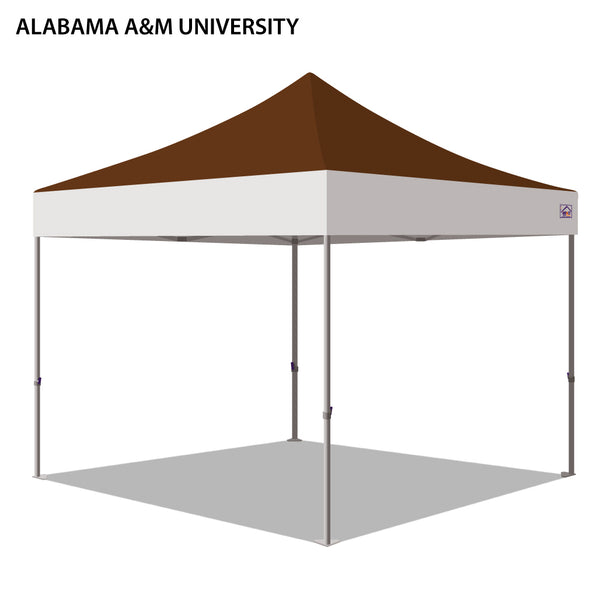 Alabama A&M University Colored 10x10