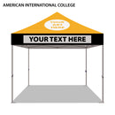 American International College Colored 10x10