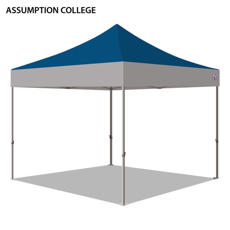 Assumption College Colored 10x10