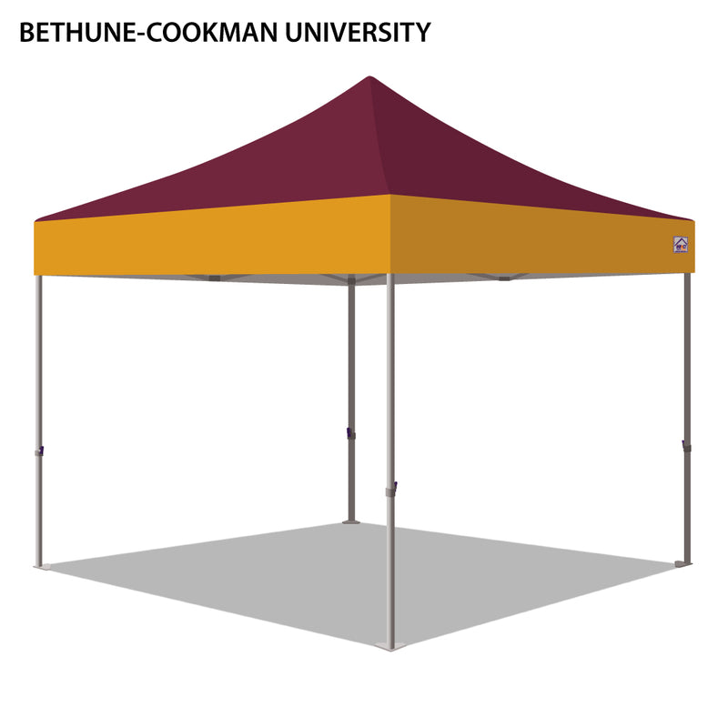 Bethune-Cookman University Colored 10x10