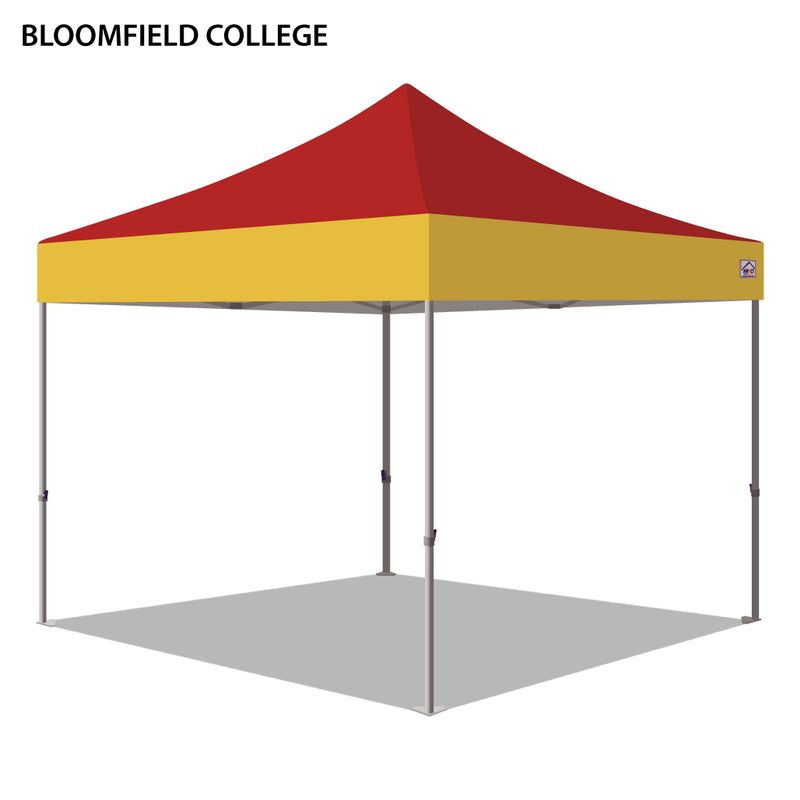 Bloomfield College Colored 10x10