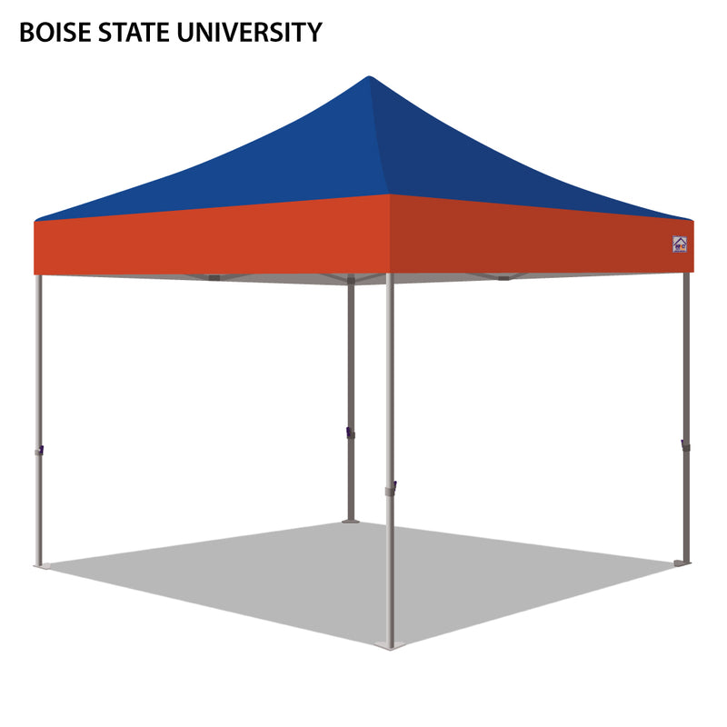 Boise State University Colored 10x10