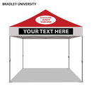 Bradley University Colored 10x10