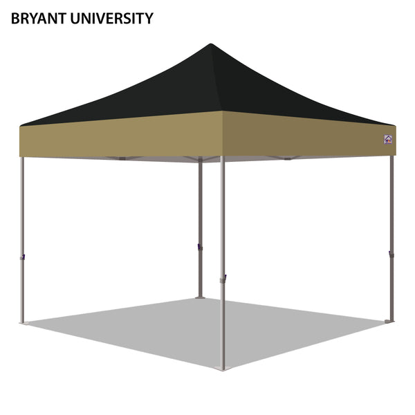 Bryant University Colored 10x10