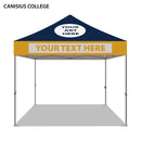 Canisius College Colored 10x10