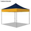 Canisius College Colored 10x10