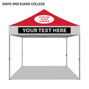 Davis and Elkins College Colored 10x10