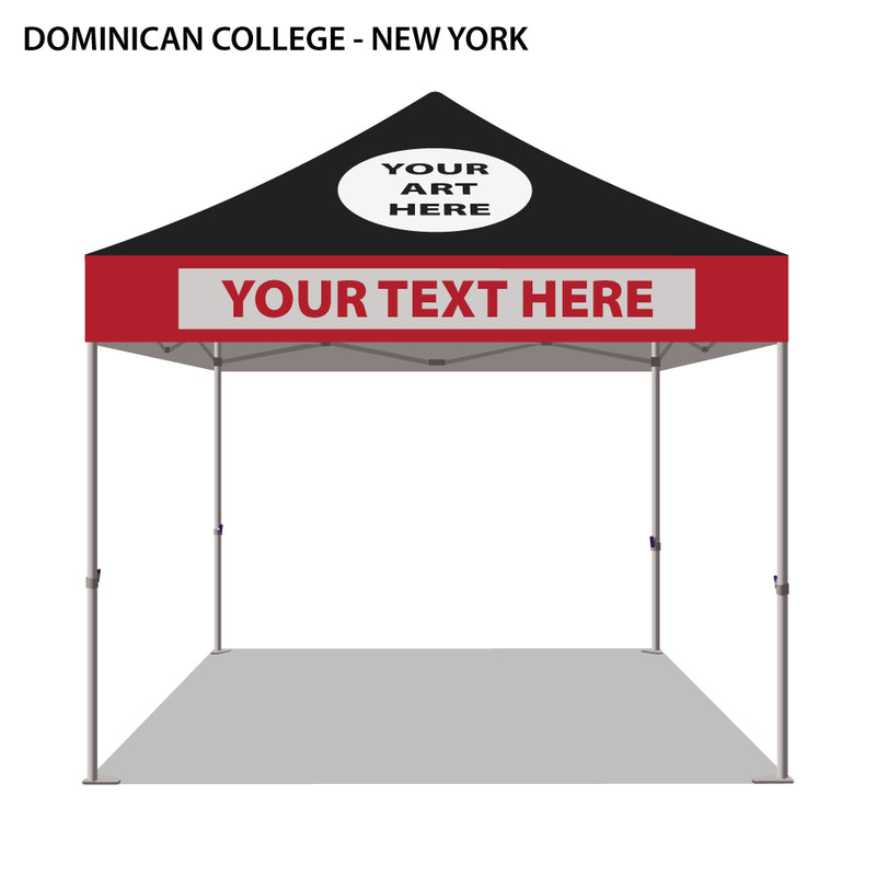 Dominican College (New York) Colored 10x10