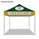 Felician College Colored 10x10