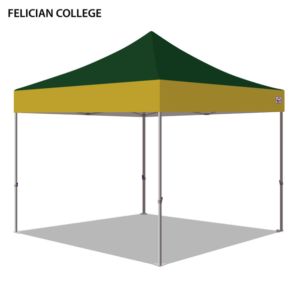 Felician College Colored 10x10