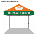 Florida A&M University Colored 10x10