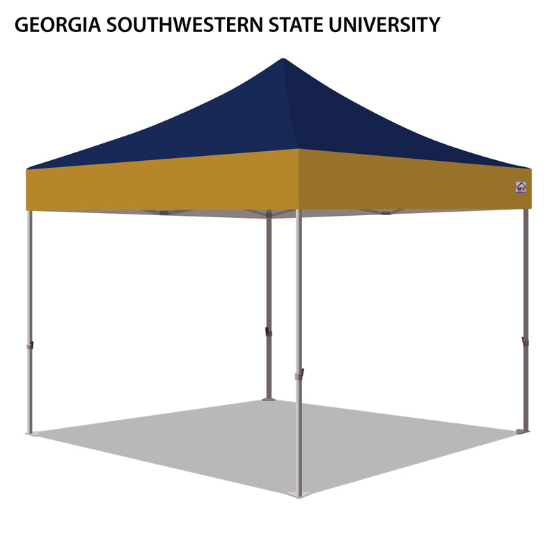 Georgia Southwestern State University Colored 10x10