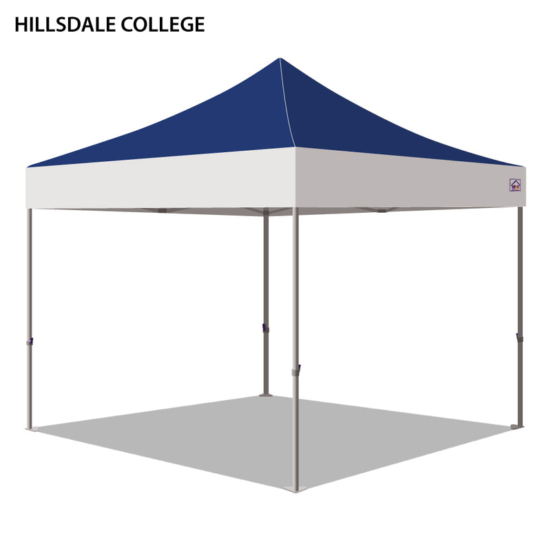 Hillsdale College Colored 10x10