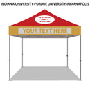 Indiana University – Purdue University Indianapolis Colored 10x10