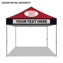 Lenoir-Rhyne University Colored 10x10