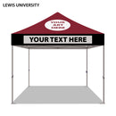 Lewis University Colored 10x10