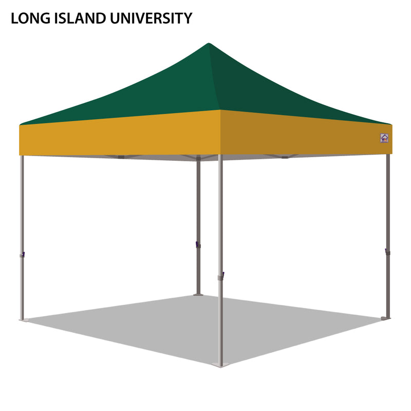 Long Island University/LIU Post Colored 10x10