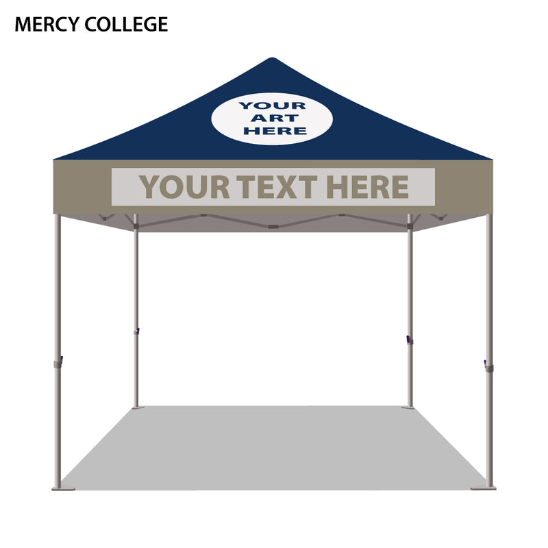 Mercy College Colored 10x10