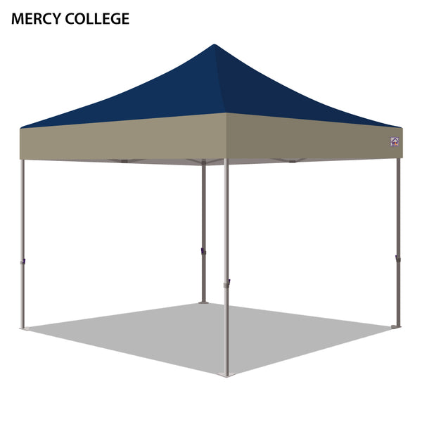 Mercy College Colored 10x10