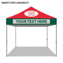 Minot State University Colored 10x10