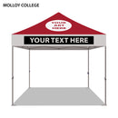 Molloy College Colored 10x10