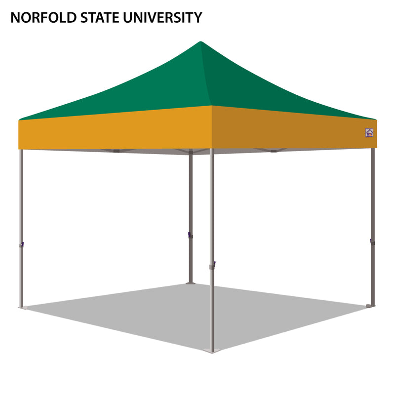 Norfolk State University Colored 10x10