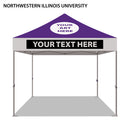 Northwestern University Colored 10x10