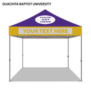 Ouachita Baptist University Colored 10x10