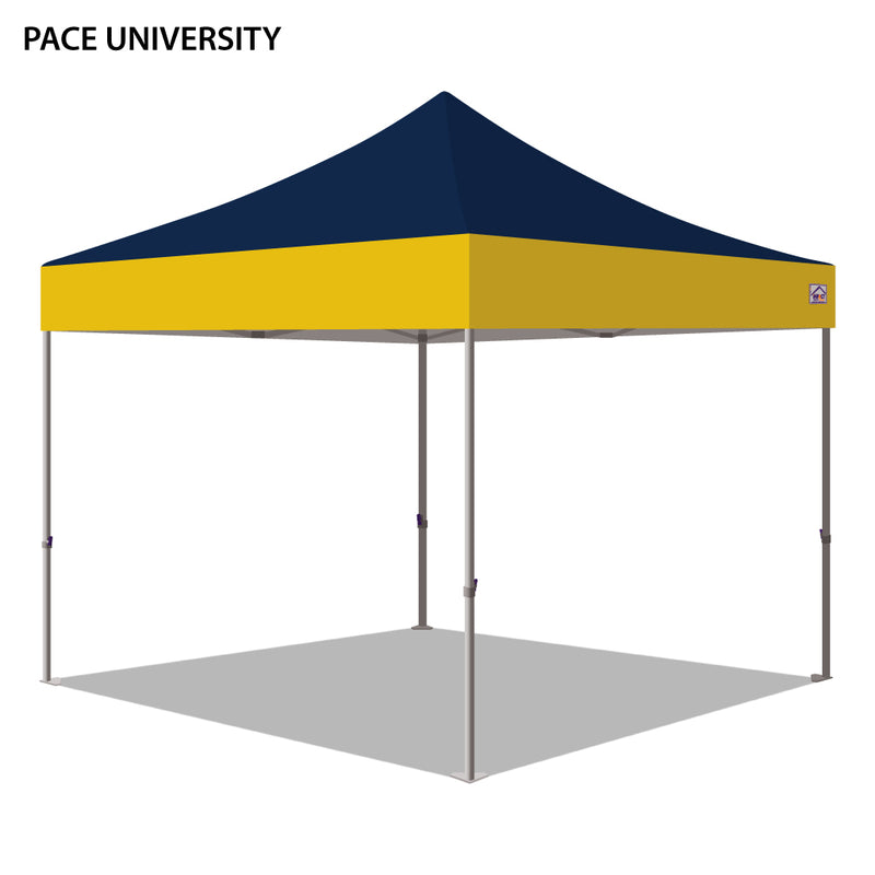 Pace University Colored 10x10