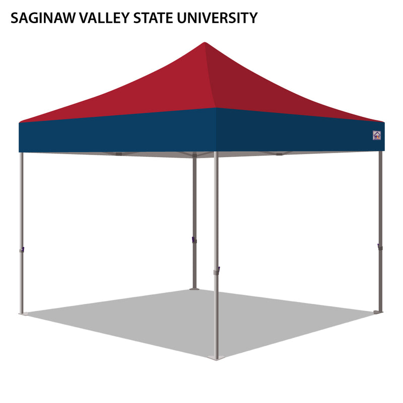 Saginaw Valley State University Colored 10x10