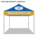 Texas A&M University-Kingsville Colored 10x10