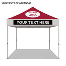 University of Arkansas Colored 10x10