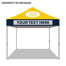 University of Michigan Colored 10x10