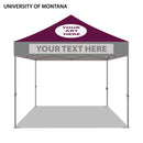 University of Montana Colored 10x10