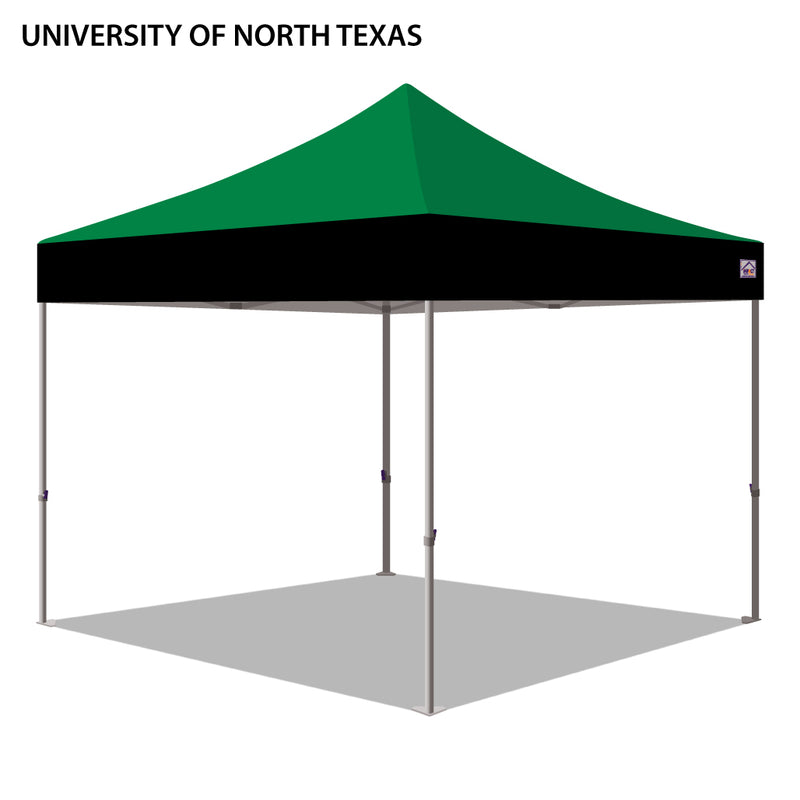 University of North Texas Colored 10x10