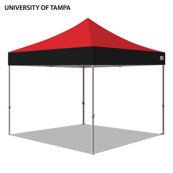 University of Tampa Colored 10x10