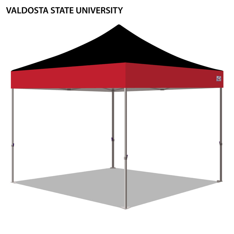 Valdosta State University Colored 10x10