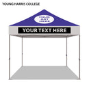 Young Harris College Colored 10x10