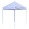 TL 6x6 Recreational Grade Steel Pop Up Canopy W/ Back Wall