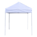 TL 6x6 Recreational Grade Steel Pop Up Canopy W/ Back Wall