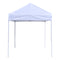 TL 6x6 Recreational Grade Steel Pop Up Canopy W/ Back Wall